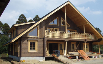 木结构房屋白蚁的控制措施